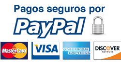 paypal21-250x132